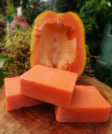 12 PAPAYA MILK SOAP BASE